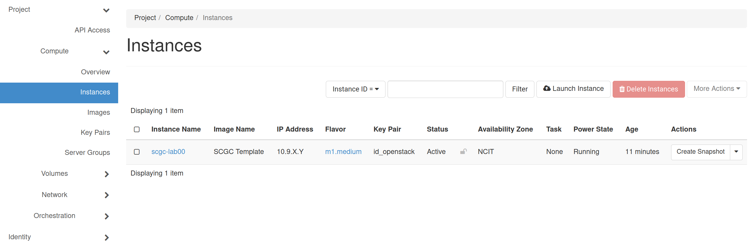 Instanță VM OpenStack